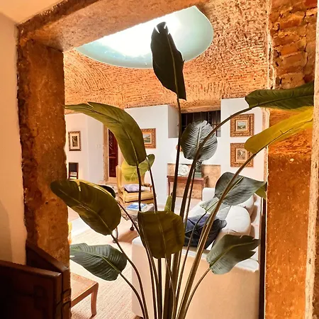 Apartment Unique