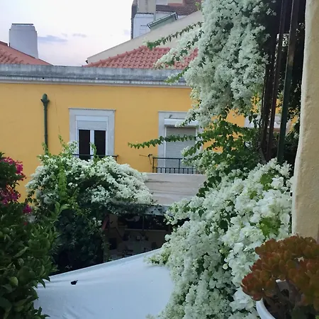 Unique Apartament
